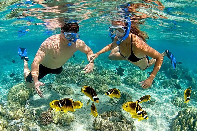 Turistas haciendo snorkel en aguas cristalinas de las Islas del Rosario con peces tropicales y arrecifes de coral