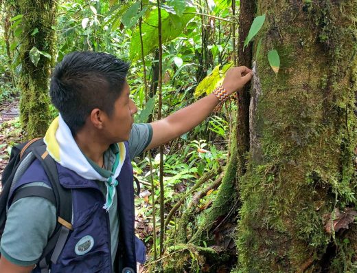 🐒 Reserva Natural de los Ateles — Refugio del Mono Araña