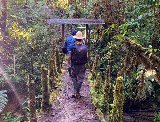 🐒 Reserva Natural de los Ateles — Refugio del Mono Araña