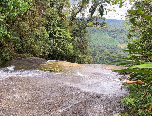 🐒 Reserva Natural de los Ateles — Refugio del Mono Araña
