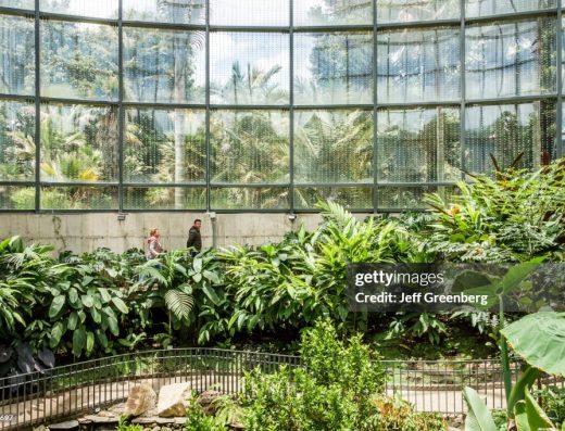 Jardín Botánico José Celestino Mutis — Oasis Verde y Ciencia en Bogotá