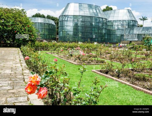 Jardín Botánico José Celestino Mutis — Oasis Verde y Ciencia en Bogotá
