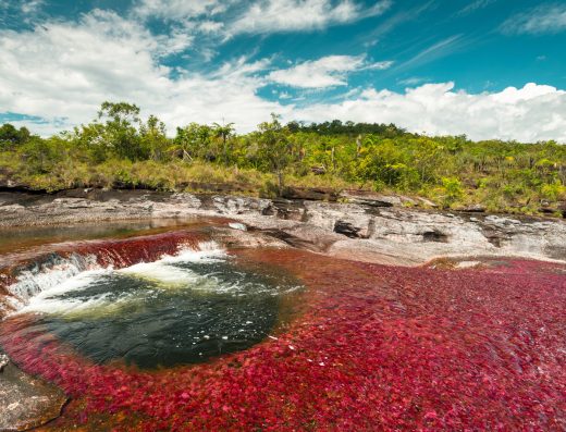 Caño Cristales — El Río de los Cinco Colores en la Serranía de la Macarena, Meta
