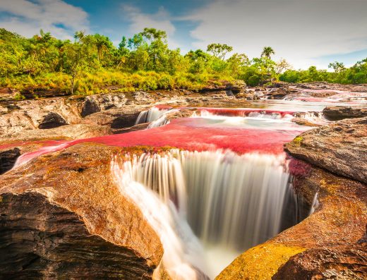Caño Cristales — El Río de los Cinco Colores en la Serranía de la Macarena, Meta