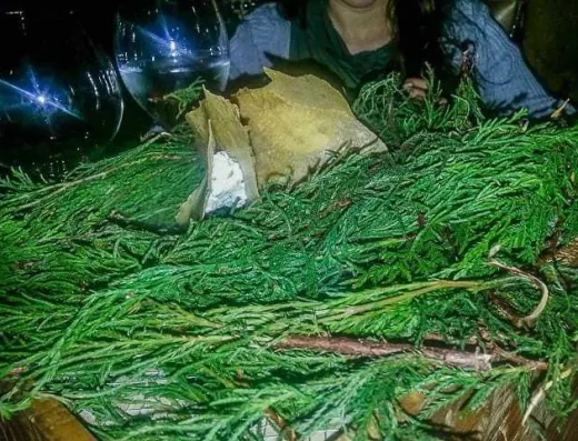 El Cielo Medellín – Experiencia Gastronómica Molecular de Lujo en El Poblado