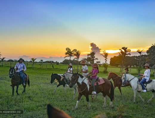 Cabalgata en los Llanos Orientales — La Tradición Llanera de Colombia