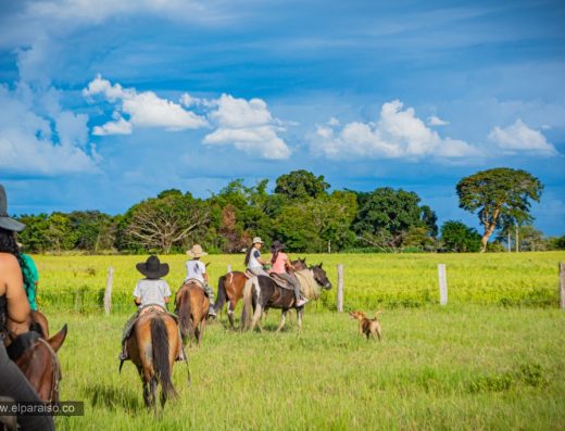 Cabalgata en los Llanos Orientales — La Tradición Llanera de Colombia