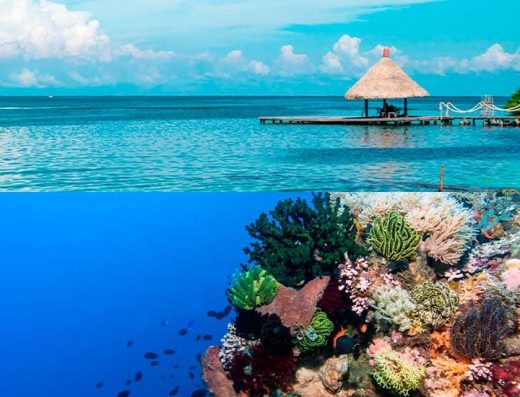 Islas del Rosario — El Parque Nacional Natural de Corales del Caribe Colombiano