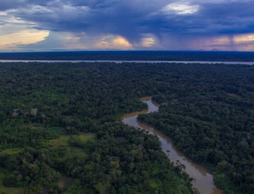 🌿 PNN Amacayacu — Inmersión en la Selva Amazónica
