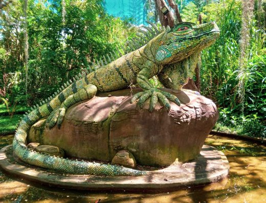 El Parque Natural El Gallineral es una visita obligada para quienes llegan a San Gil y desean un plan tranquilo, fotogénico y en contacto con la naturaleza. Su ambiente verde, sus senderos y su cercanía al río Fonce lo convierten en uno de los lugares más agradables y representativos de Santander. iguana gigante
