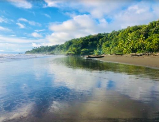 🐢 Playa El Almejal — Santuario de Tortugas y Selva Virgen
