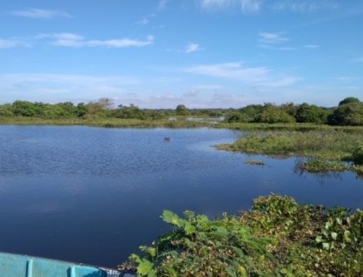 qué hacer en Chiriguaná, turismo en Chiriguaná, Ciénaga de Zapatosa, ecoturismo en Cesar, humedales del Cesar, avistamiento de aves en Cesar