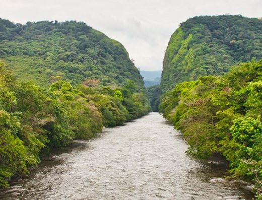 Descubre Florencia, la capital del Caquetá. Explora cascadas, reservas naturales, biodiversidad amazónica y experiencias únicas en el sur de Colombia.