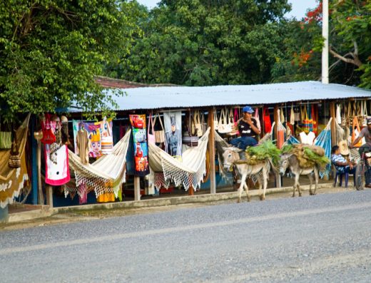 sabías que uno de los sonidos más representativos del folclor colombiano nació en un pequeño pueblo del Caribe interior? San Jacinto es música viva.
