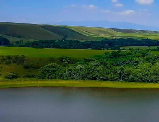 qué hacer en Tame, turismo en Arauca, Cuna de la Libertad, turismo llanero Colombia, historia de Tame, destinos turísticos de Arauca