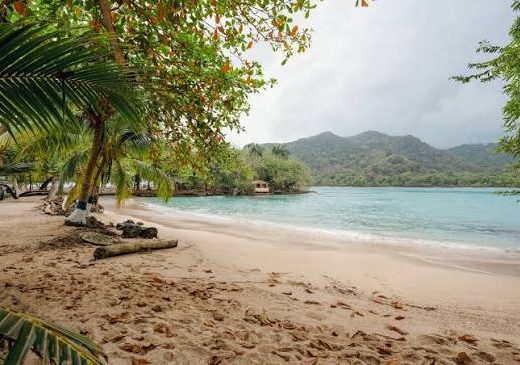 qué hacer en El Valle Chocó, turismo en El Valle Bahía Solano, Playa El Almejal, Parque Utría, avistamiento de ballenas, surf en Chocó