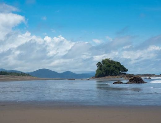 qué hacer en El Valle Chocó, turismo en El Valle Bahía Solano, Playa El Almejal, Parque Utría, avistamiento de ballenas, surf en Chocó