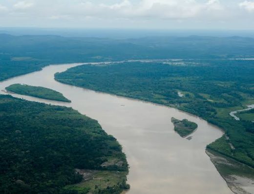 qué hacer en Barranco Minas, turismo en Barranco Minas, ecoturismo en Guainía, turismo indígena en Colombia, Amazonía colombiana, naturaleza en Guainía