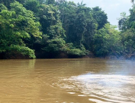El Retorno Naturaleza, Cultura y Biodiversidad en el Corazón del Guaviare