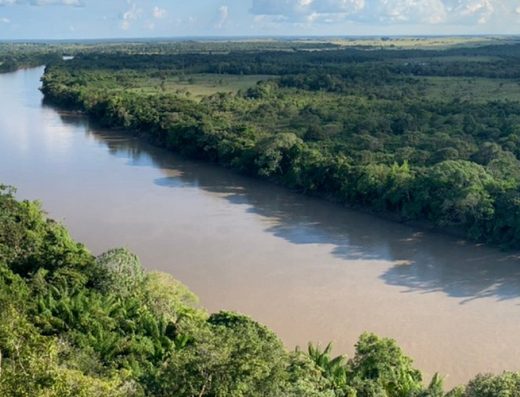 La Macarena es uno de los destinos naturales más sorprendentes de Colombia, famoso por Caño Cristales, un río de colores únicos rodeado por una biodiversidad excepcional.