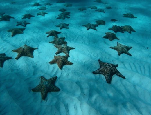 Parque Nacional Natural McBean Lagoon