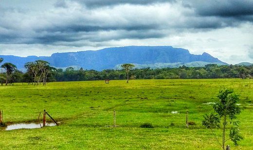 San Juan de Arama combina la tranquilidad del piedemonte llanero con la aventura de sus ríos y montañas, ofreciendo experiencias auténticas de naturaleza y turismo sostenible.