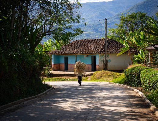 La Florida es un rincón natural de Nariño donde montañas, cascadas, bosques andinos y tradición campesina crean una experiencia auténtica para conectar con la naturaleza.