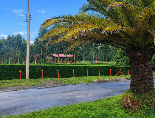 qué hacer en Colón Putumayo, turismo en Colón Putumayo, Termales de Ambiyacu, Valle de Sibundoy, turismo en Putumayo, turismo de bienestar Putumayo, turismo indígena Putumayo, pueblos del Putumayo
