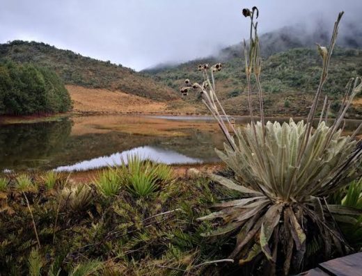 ¿Te gustaría descubrir un pueblo colonial rodeado de montañas, con calles empedradas y una tranquilidad difícil de encontrar? Cácota te espera con historia, paisajes andinos y una cálida hospitalidad que enamora a cada visitante.