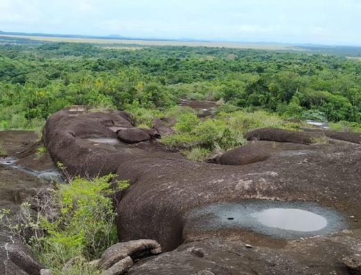 turismo en Cumaribo, qué hacer en Cumaribo, Cumaribo Vichada turismo, turismo Vichada, Orinoquía colombiana, comunidades indígenas Cumaribo, ecoturismo Vichada, morichales Vichada