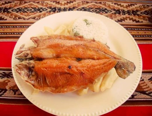 🐟 Trucha Arcoíris del Lago de Tota — Frescura Lacustre y Tradición Piscícola a 3.015 msnm