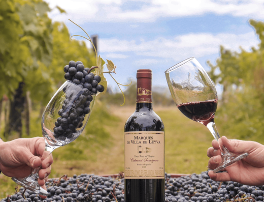 🍷 Viñedo Ain Karim — Bodega Marqués de Villa de Leyva y Enoturismo de Altura